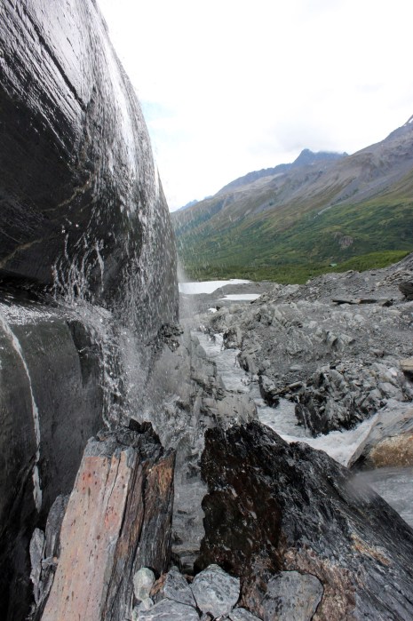 After he got this shot I made him come down