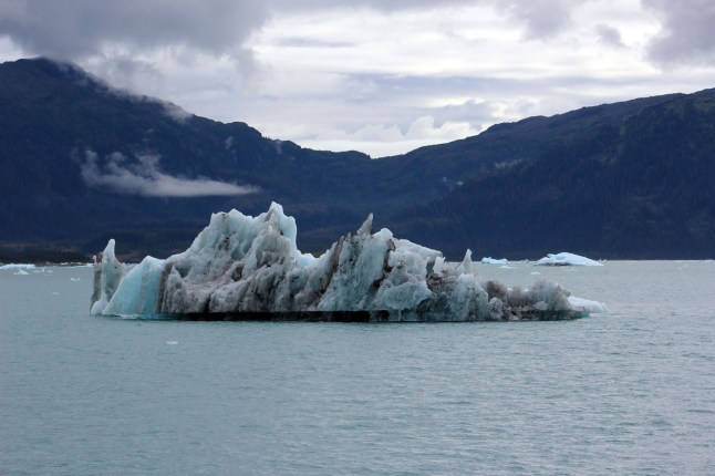 Huge ice chunks the captain navigated