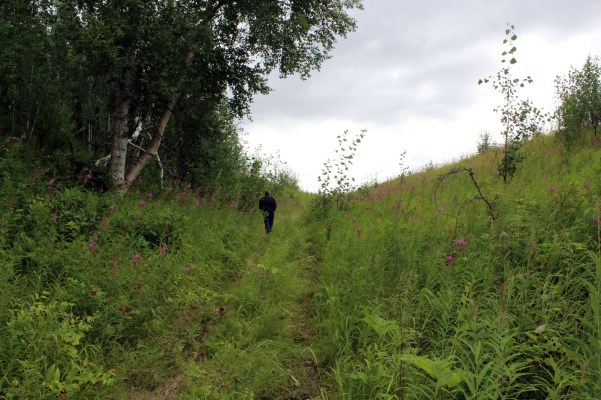 And became less and less of a path