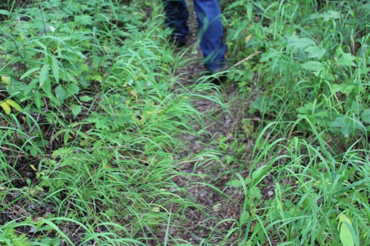 About the time I had completely lost my sense of humor about the whole thing we found another path. As a side note scroll up to the pic right before the trail sign and see where Lee was standing. That is where this unmarked path started 
