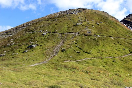 Deb here's a great trail for you!!