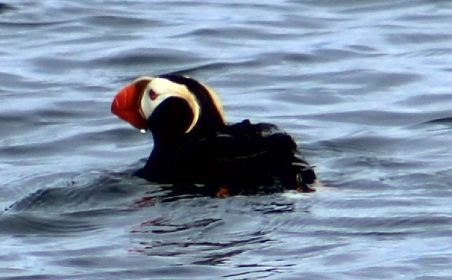 Pretty proud of these