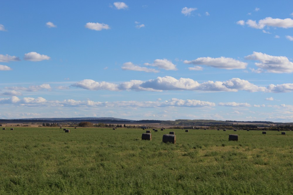 This is the view we saw for two days :)