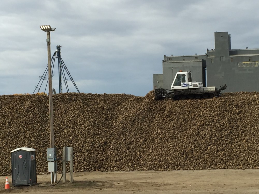 "Snow cat" grooming top of Pile 2