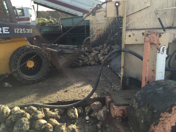 One of the "smaller" piles that the bobcat was cleaning up