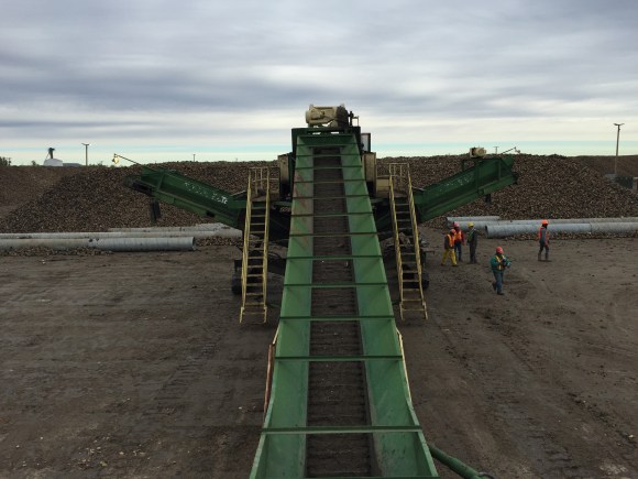 Pretty on both sides