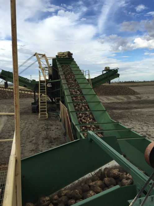 Go along the conveyor belt