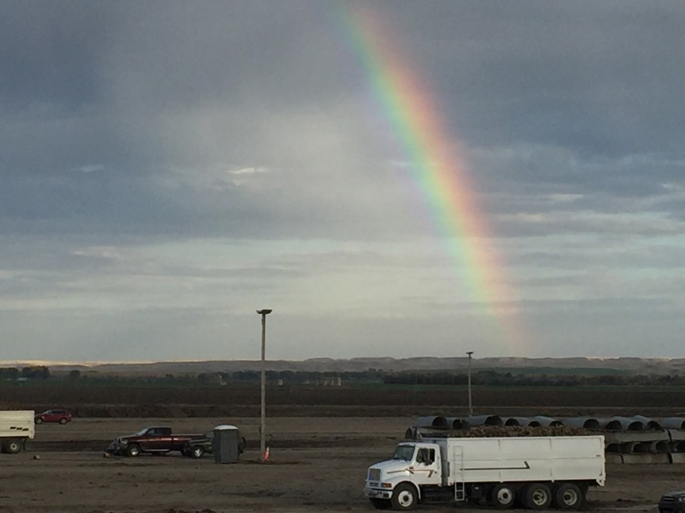 We all enjoyed the rainbow