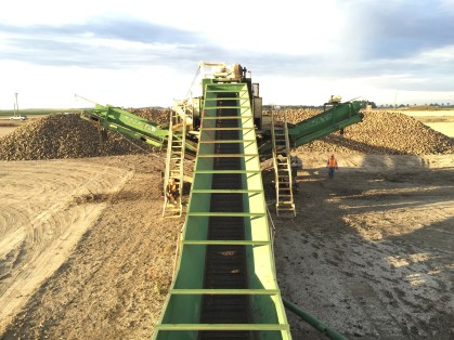 Our pile was almost 18 feet tall by the end of the day