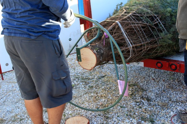 12-1/2 footer getting a D15 stand. The stand alone is over $150. 