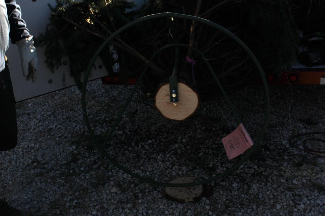 The stand is drilled into the tree