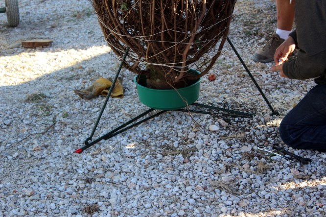 Commerical stand on bracer