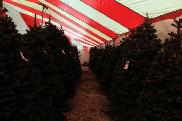 And what our initial row looked like