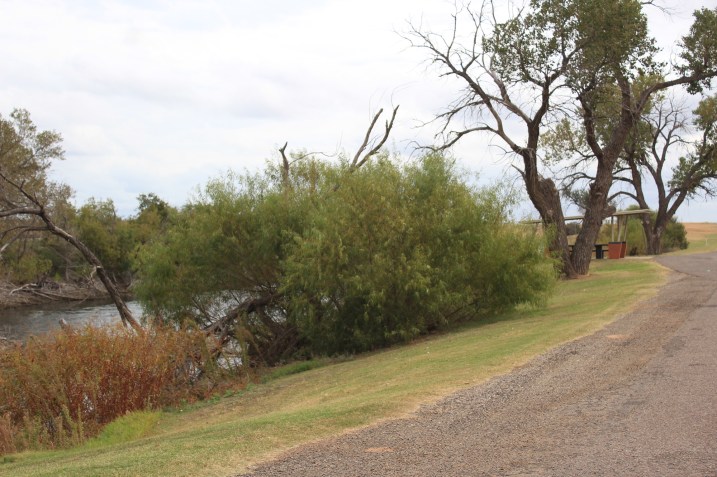 One of the many nice rest areas on the state highways