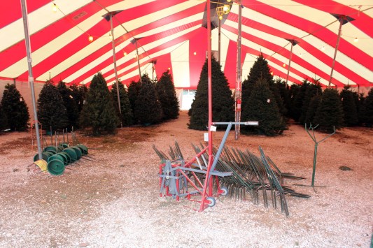 The entire back area was cleared and the stands are being twined together