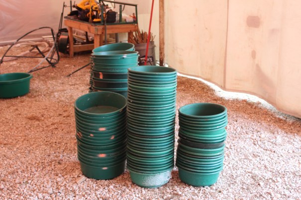 Every bowl needs to be washed but we are waiting for the weather to warm up a little