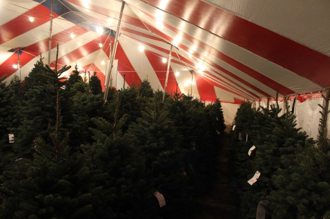 One side of the tent to the middle. The other side was equally full