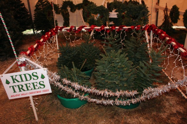 More kids trees!! I love these little guys