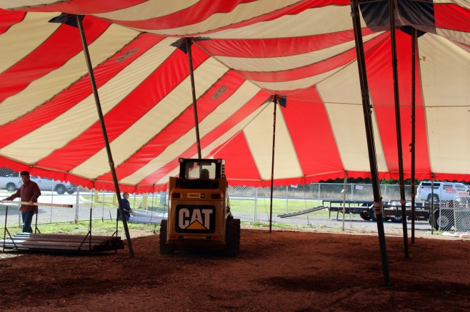 And then the CAT knocked loose the center poles