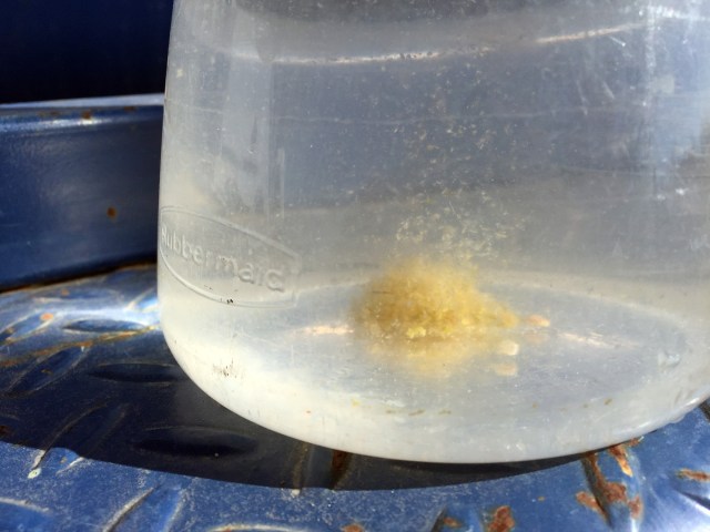 Water straight from tank