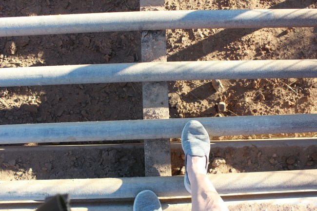 Around that are these cattle guards and as you can see my foor can easily fall in so I try to stay on the walkway