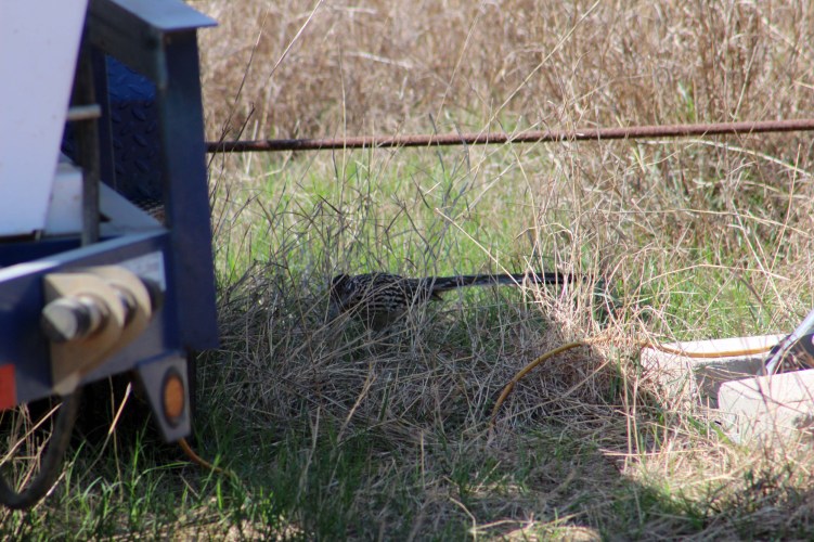 It's hanging out back by the generator