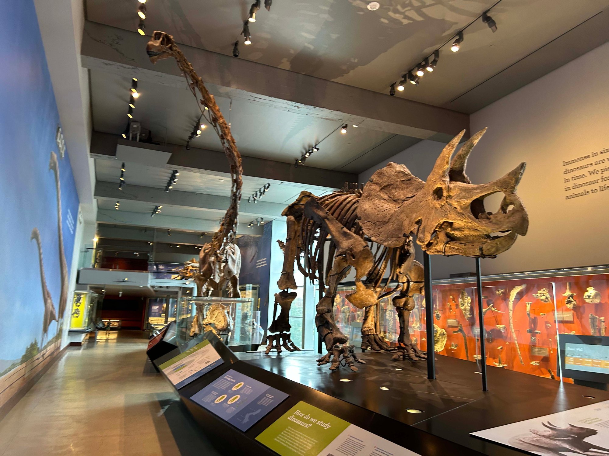 LA Natural History Museum – Camper Chronicles