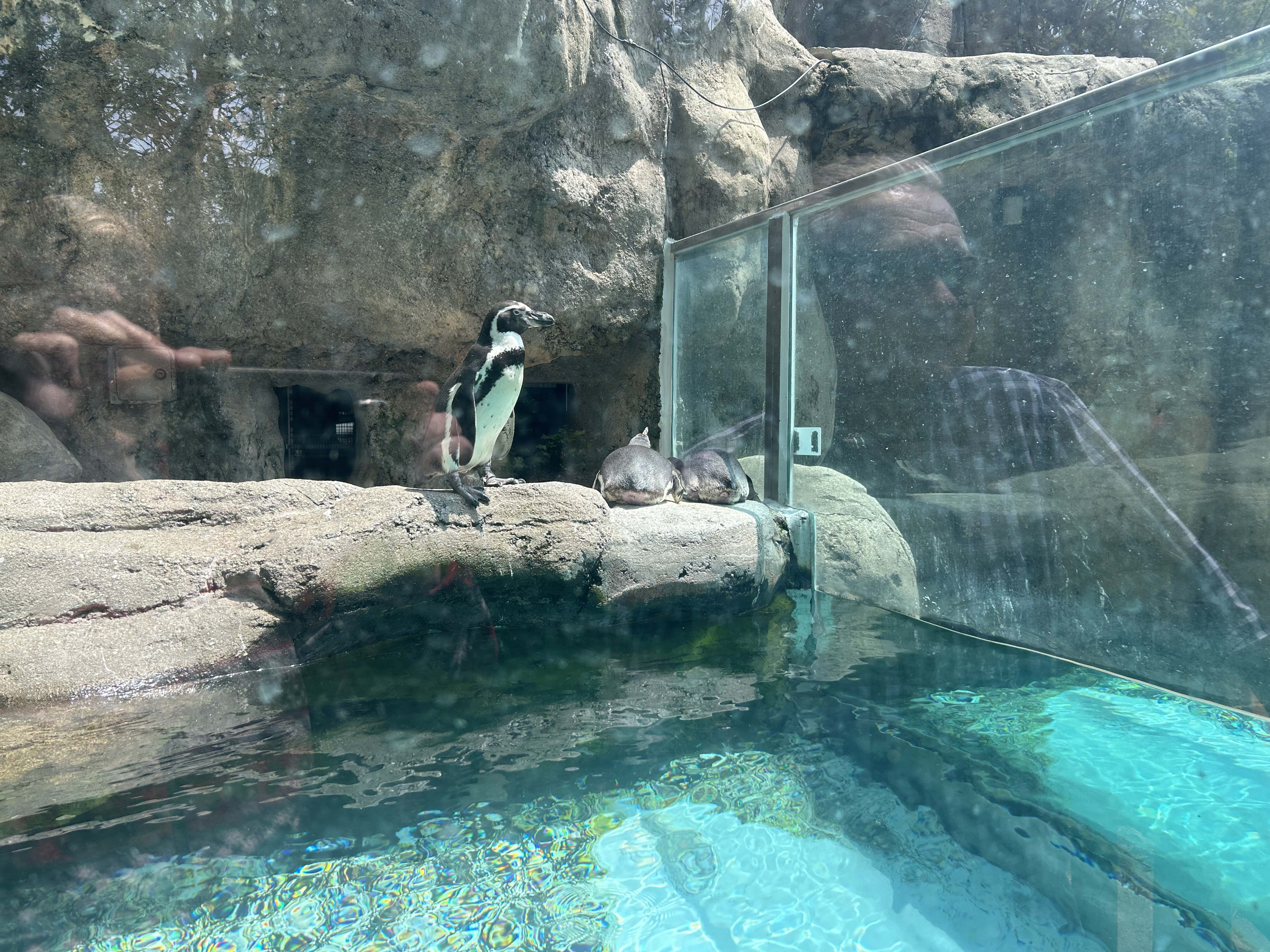 The Columbus Zoo – Camper Chronicles